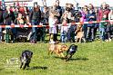 D_Foto Laudi_SO_Fruehlingsfest_Zeitlarn-204